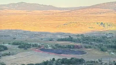 Cal Fire makes quick work of brushfire near Lake Henshaw