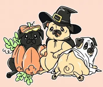 Pontoon Brewing goes to the dogs for Pug-O-Ween fundraiser