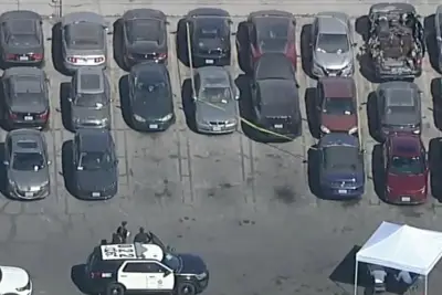 Dismembered body found in singer D4vd’s abandoned Tesla ID’d as teen girl