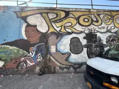 A 'count' and 'godfather' once called Jamaica, Queens home. Here's a look at a plan to revitalize it.