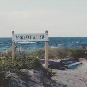 Shark bites beach fisherman who dragged thrashing predator back to water after catch