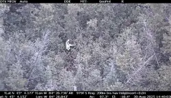 YouTube survival show contestant rescued after going missing for 18 hours in Michigan forest