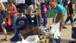 Morning after: Join volunteer cleanup following ‘dirtiest beach day’ of year