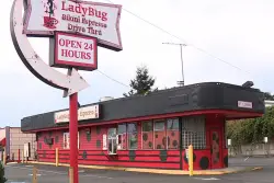 Bikini-clad barista nearly abducted by teen creep who tried to yank her out drive-thru window